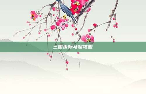 三国杀标马超攻略