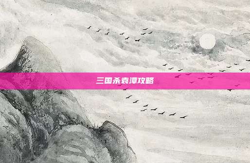 三国杀袁潭攻略