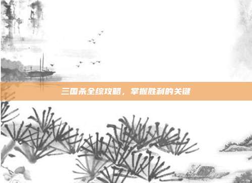 三国杀全综攻略，掌握胜利的关键