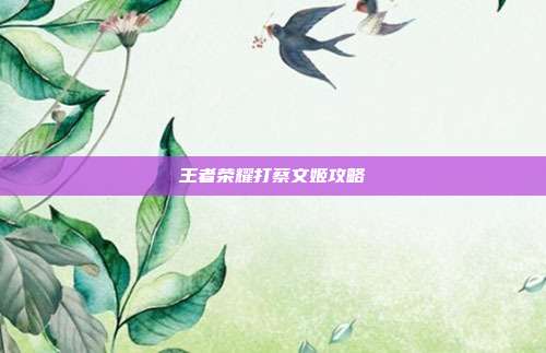 王者荣耀打蔡文姬攻略