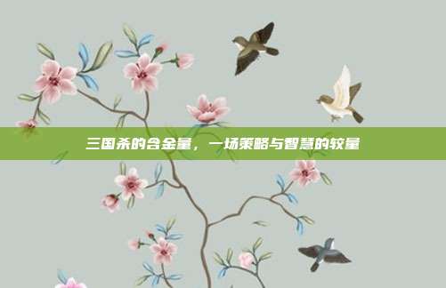 三国杀的含金量，一场策略与智慧的较量