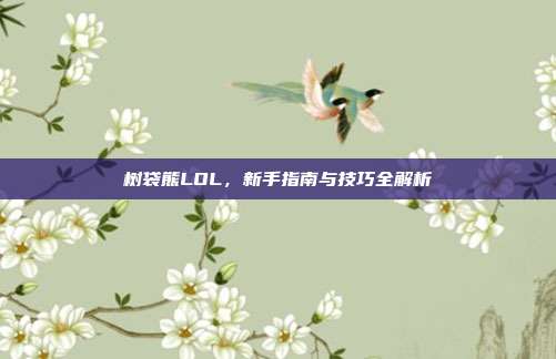 树袋熊LOL，新手指南与技巧全解析