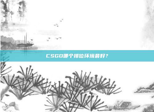 CSGO哪个排位环境最好？