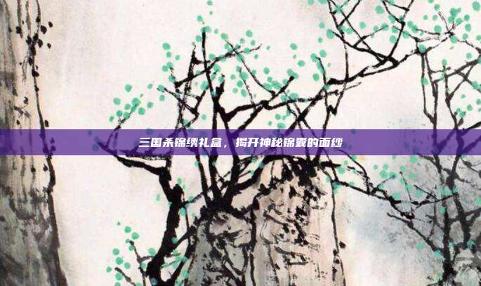 三国杀锦绣礼盒，揭开神秘锦囊的面纱