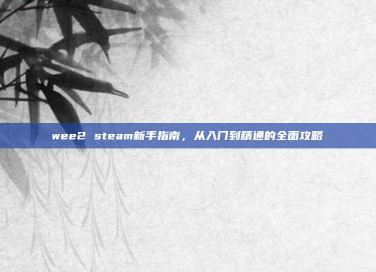wee2 steam新手指南,从入门到精通的全面攻略