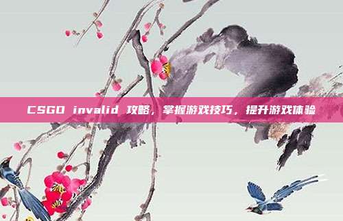 CSGO invalid 攻略，掌握游戏技巧，提升游戏体验