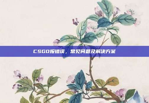 CSGO报错误，常见问题及解决方案