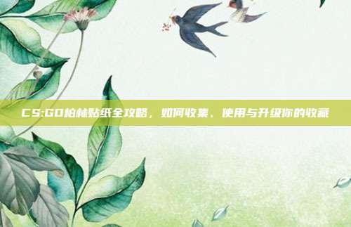 CS:GO柏林贴纸全攻略,如何收集、使用与升级你的收藏