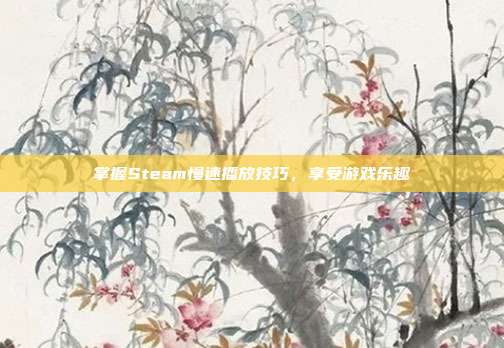 掌握Steam慢速播放技巧,享受游戏乐趣