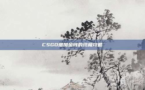 CSGO增加金钱的终极攻略