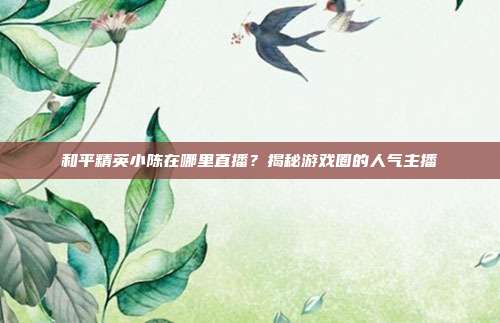 和平精英小陈在哪里直播?揭秘游戏圈的人气主播