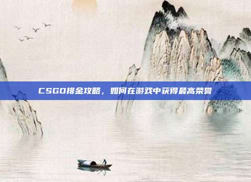 CSGO排金攻略,如何在游戏中获得最高荣誉