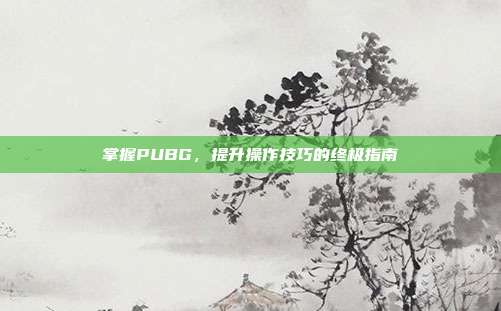 掌握PUBG,提升操作技巧的终极指南