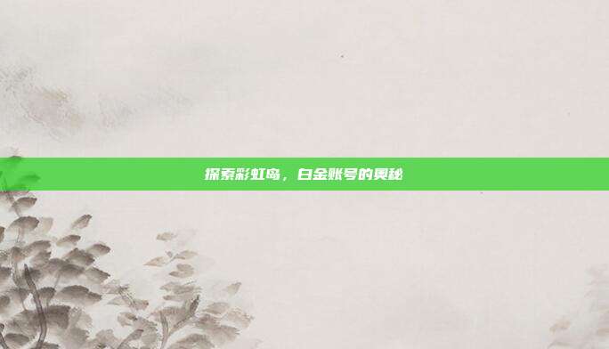探索彩虹岛,白金账号的奥秘