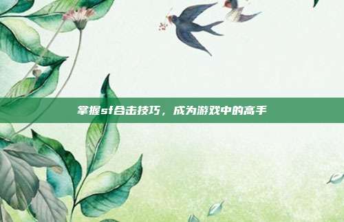 掌握sf合击技巧,成为游戏中的高手