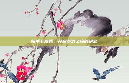 新手卡攻略,开启游戏之旅的钥匙
