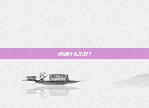 灵猴什么系好？