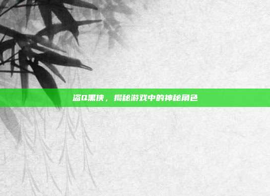 盗Q黑侠，揭秘游戏中的神秘角色