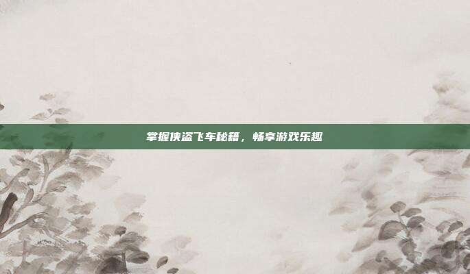 掌握侠盗飞车秘籍，畅享游戏乐趣