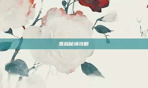 雪踪秘境攻略