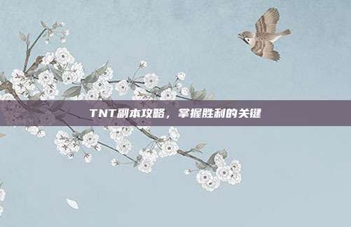 TNT副本攻略,掌握胜利的关键
