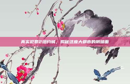 真实犯罪2纽约城,揭秘这座大都市的阴暗面