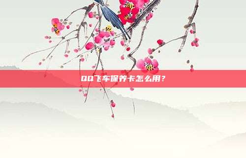 QQ飞车保养卡怎么用？