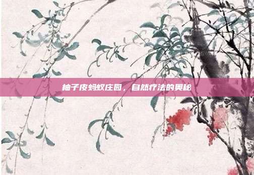 柚子皮蚂蚁庄园,自然疗法的奥秘