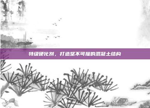 特级硬化剂，打造坚不可摧的混凝土结构