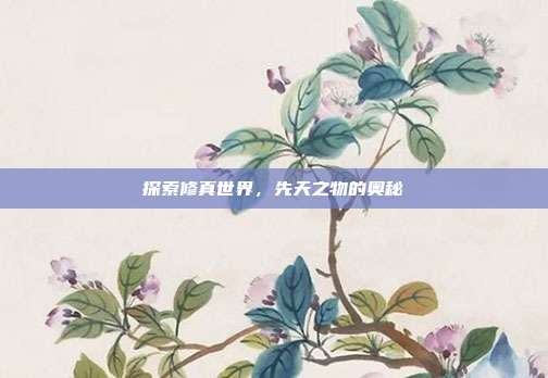 探索修真世界，先天之物的奥秘