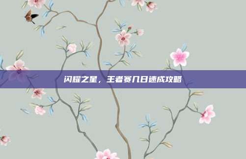 闪耀之星，王者赛几日速成攻略