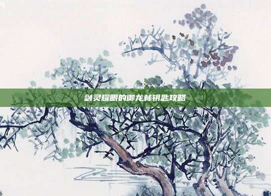 剑灵耀眼的御龙林钥匙攻略