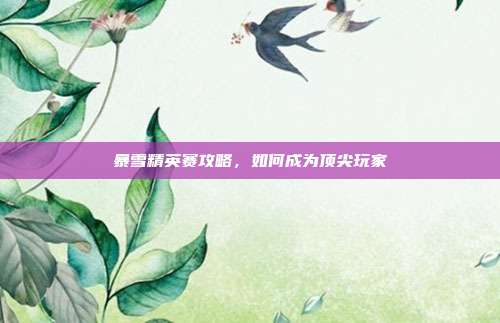暴雪精英赛攻略,如何成为顶尖玩家