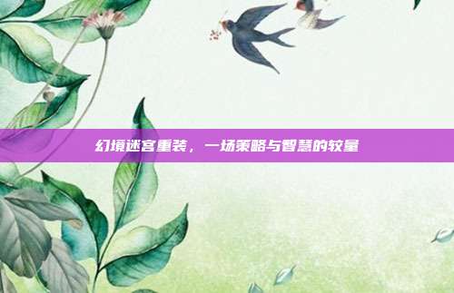 幻境迷宫重装，一场策略与智慧的较量