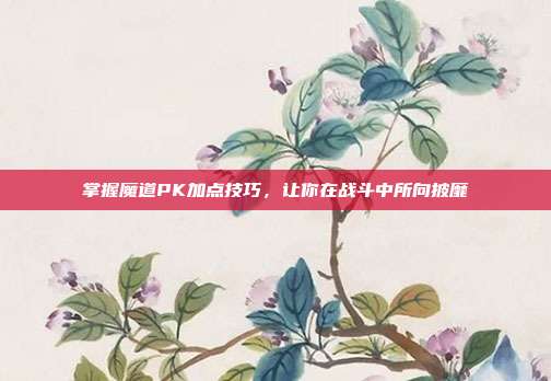 掌握魔道PK加点技巧，让你在战斗中所向披靡