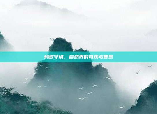 蚂蚁守城,自然界的奇观与智慧