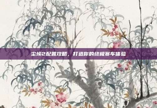 尘埃2配置攻略,打造你的终极赛车体验