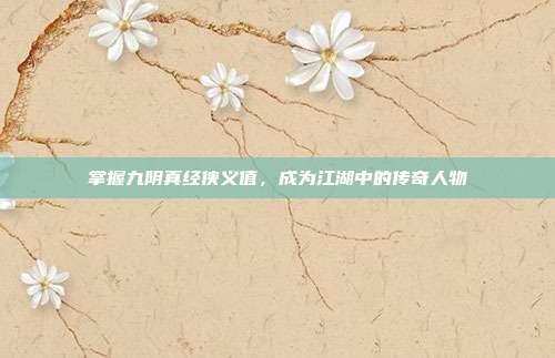 掌握九阴真经侠义值,成为江湖中的传奇人物