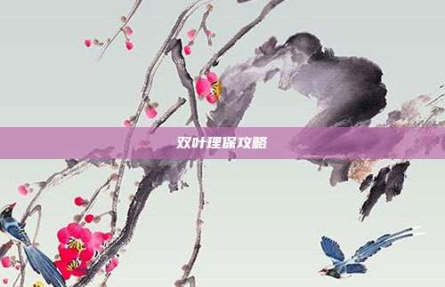 双叶理保攻略