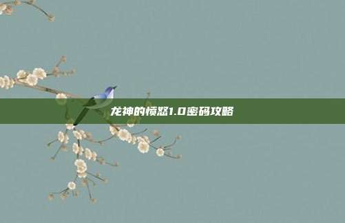 龙神的愤怒1.0密码攻略