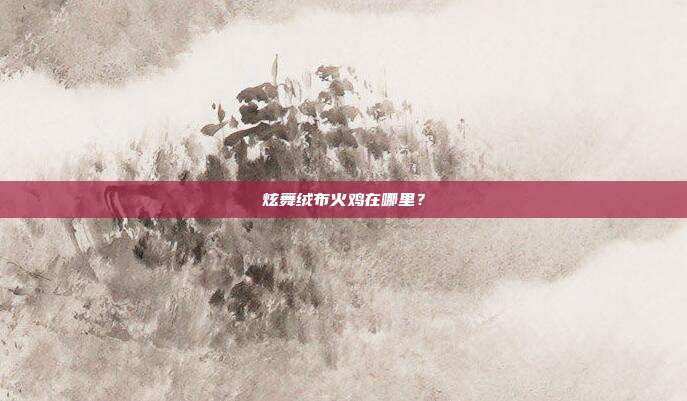 炫舞绒布火鸡在哪里?