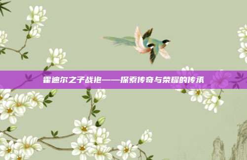 霍迪尔之子战袍——探索传奇与荣耀的传承