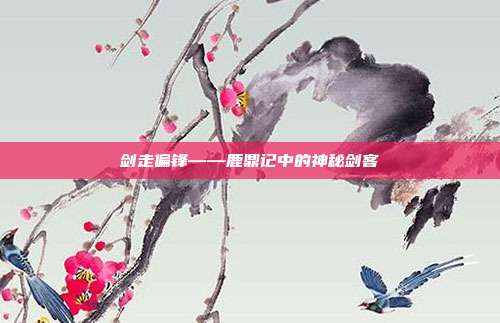 剑走偏锋——鹿鼎记中的神秘剑客