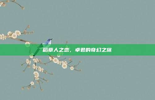 稻草人之恋,卓君的奇幻之旅