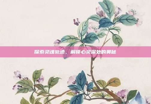探索灵魂轨迹,解锁心灵深处的奥秘