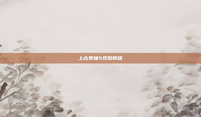 上古卷轴5捏脸教程