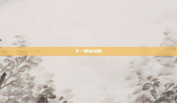 下一把剑攻略
