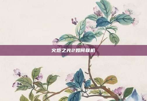 火炬之光2如何联机