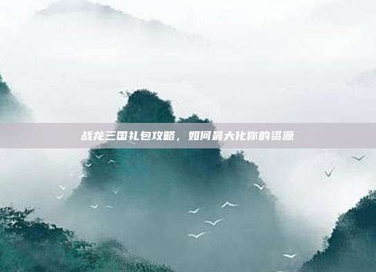战龙三国礼包攻略,如何最大化你的资源