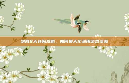 剑网2大补贴攻略,如何最大化利用游戏资源